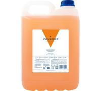 Valquer Champu Mandarina Sin Sal 5000 Ml