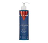 VALQUER Color & Shine Masque Glacial Cheveux Colorés | Effet Froid | 275 ml
