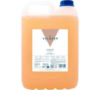 Valquer Profesional Shampooing Ph Neutre Revitalisant Avec Brillance Et Pro-Vitamine B5 Pour Salon De Coiffure 5000 Ml