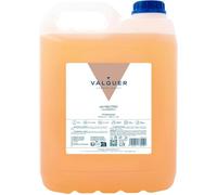 Valquer Profesional Shampooing Ph Neutre Revitalisant Avec Brillance Et Pro-Vitamine B5 Pour Salon De Coiffure 5000 Ml
