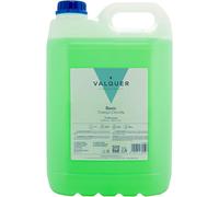 Valquer Profesional Special Chlorophylle Shampooing Pour Coiffure Professionnel Carafa, 5000 Ml