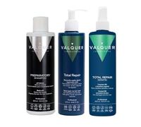 Valquer Professional Cold Keratin Capillary Pack, Express Hair Repair, Preparing Shampoo 100 millilitres + Kératine 100 millilitres + Ice Hair Mask 100 millilitres, Cheveux abîmés, 3 Unités
