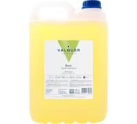 Valquer Professional Special Apple Shampooing Pour Coiffure Shampooing Pour Professionnel Carafa, 5000 Ml[Z1742]