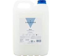 Valquer Professional Special Shampooing Incolore Pour Coiffure Shampooing Professionnel Carafa-5000 Ml