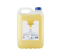Valquer Profesional Spécial Oeuf Shampooing pour Salon de Cheveux pour Professionnel Carafa, 5 L