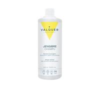 Válquer Shampooing Gingembre Strong – 1000 ml