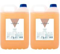 VALQUER Shampoing pH Neutre 5 Litres Hydratant au Panthénol, 99% Ingrédients Naturels, Usage Fréquent, Tous Types de Cheveux, Famille et Cuir Chevelu Sensible (Lot de 2)