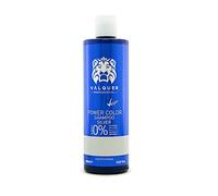 VALQUER Shampoing Power Color Argent Cheveux Colorés & Naturels | 400 ml