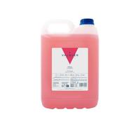 Válquer Shampooing à la fraise 5 L
