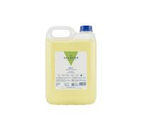 Valquer Professional Special Apple Shampooing pour Coiffure Shampooing pour Professionnel Carafa, 5000 ml