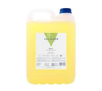 Valquer Professional Special Apple Shampooing pour Coiffure Shampooing pour Professionnel Carafa, 5000 ml
