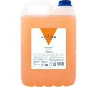 Válquer Shampooing Mandarine Sans Sel - 5000 Ml