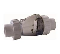 Valterra Valve anti-retour 50 mm avec ressort, transparent
