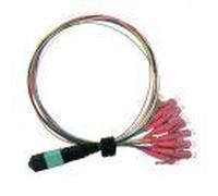 Value 21.99.1100 Câble De Fibre Optique 2 M Mpo 12x Lc Om4 Multicolor