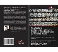 Valutazione Dell'adesione Di Barre D'acciaio Al Calcestruzzo Addensato D'aria