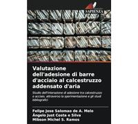 Valutazione dell'adesione di barre d'acciaio al calcestruzzo addensato d'aria: Studio dell'interazione di adesione tra calcestruzzo e acciaio, attraverso la sperimentazione e gli studi bibliografici
