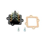 Valve à lames for Scooter de course, for CPI 50 Alien Aragon GP Freaky Hussar E2 Mars Neo Oliver E1 Sport Popcorn 50cc 2T accessoires