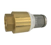 Valve à pied en laiton avec ressort, crépine d'aspiration Niro 2"