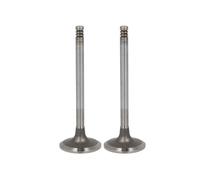 Valve d'admission KOLBENSCHMIDT 22325 pour SAME EXPLORER 3 4.0 2009-2012