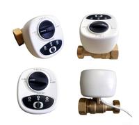 Valve d'arrêt automatique WiFi intelligente, application de contrôle à distance, 3 modes de synchronisation, alarme de fuite d'eau et de gaz, pour Alexa (DN20)