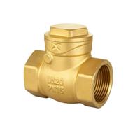 Valve de contrôle horizontale à balançoire, 1/2 pouces, DN15-DN50, clapet anti-retour fileté femelle, anti-retour, adapté à l'eau(DN40)