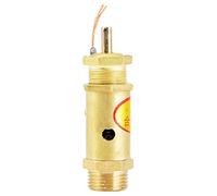 Valve de décompression G3/8 pour générateur de vapeur de chaudière avec roulement de pression de 10 kg pour une installation facile et une large applicabilité (8KG)
