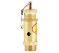 Valve de décompression G3/8 pour générateur de vapeur de chaudière avec roulement de pression de 10 kg pour une installation facile et une large applicabilité (7KG)