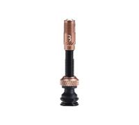 Bbb Al Valve Corecap Tubeless Valves 2 Units Argenté 80 mm Black