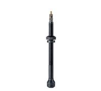 Valve de jante Schwalbe Tubeless (x2) Noir