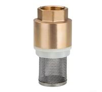 Valve de pied en laiton avec filetage interne pour tuyau d'entrée de pompe à eau, comprend un clapet anti-retour vertical et un écran pour protéger la turbine de la pompe des débris (DN25)