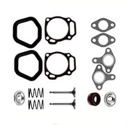 Valve d'échappement d'admission et kit de ressort pour moteurs 173F, 177F, 188F, 190F, kit d'assemblage de joints compatibles avec GX160 pour GX200 7,5 HP de rechange (B)