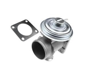 Valve EGR 1x Soupape Recirculation Gaz D'échappement AGR Pour BMW Série 5 E39 Pour Touring 530d 530d Série 7 E38 730d 7ER E65 E66 E67 Pour X5 Pour WAV000040 Vanne EGR