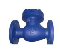 Valve H44H-16C/P National Standard Cast Steel Water Pressure Cast Steel Rotary Check Valve(DN65)