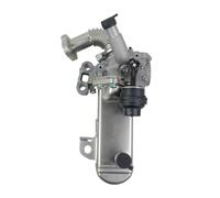 Valve Recirculation Gaz D'échappement Pour Nissan NP300 Pour Navara D40 Pour Pathfinder Cabstar F24 2.5 2004-2013 2014 2015 2016 2017 2018 2019 2020 Pickup 2.5 DCi 4WD 147355X00B Refroidisseur EGR