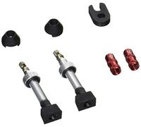 Valve tubeless Caffélatex 40mm (x2) - argent