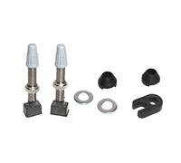 Valve tubeless Caffélatex 70mm (x2) - argent