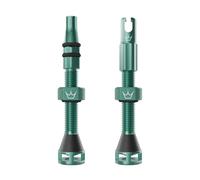 Peaty´s Tubeless Holeshot Fast Flow Valves Argenté 60 mm