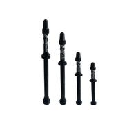 Valve tubeless Vittoria (x2) Gris
