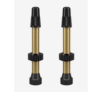 WTB Valve Tubeless TCS Presta en Laiton laiton SV 46 mm