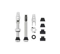 Valves tubeless wolf tooth avec clik valve argent