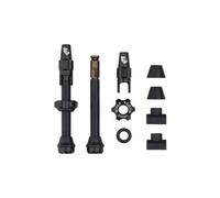 Valves tubeless wolf tooth avec clik valve noir