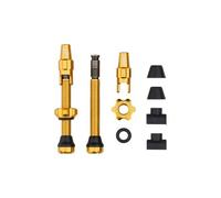 Valves tubeless wolf tooth avec clik valve or