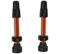 Valves tubeless WTB presta TCS Orange