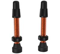 Valves tubeless WTB presta TCS Orange