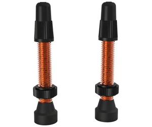 Valves tubeless WTB presta TCS Orange