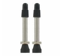 Valves Var Presta (x2) Argenté