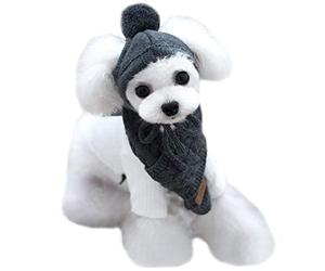 Van Caro Écharpe et Bonnet tricoté pour Chiot et Chiot