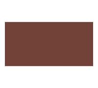 Van Gogh Huile Extra-Fine 200ml: Raw S1 Umber