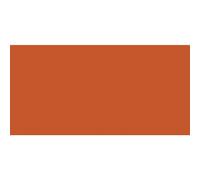 Van Gogh Huile Extra-Fine 200ml: Raw Sienna S1