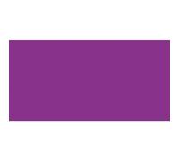 Van Gogh Huile Extra-Fine 200ml: Violet S1